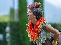 Die Bremer Stadtmusikanten